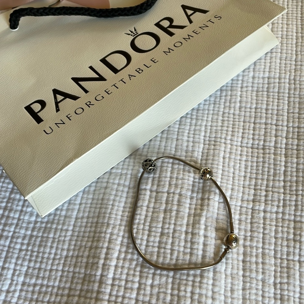 Pandora Charm Bracelet